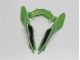 ABS Moto Plásticos Kawasaki EX300 2013-2016 - Verde Negro ABS Moto Plásticos Kawasaki EX300 2013-2016 - Verde Negro