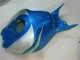 Carenado Moto Honda CBR 1000 RR 2006-2007 - Azul Plata Carenado Moto Honda CBR 1000 RR 2006-2007 - Azul Plata