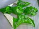 Carenado Moto Honda CBR 1000 RR 2006-2007 - Verde Carenado Moto Honda CBR 1000 RR 2006-2007 - Verde
