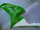 Carenado Moto Honda CBR 1000 RR 2006-2007 - Verde Carenado Moto Honda CBR 1000 RR 2006-2007 - Verde