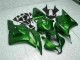 Carenado Moto Honda CBR 600 RR 2009-2012 - Verde Carenado Moto Honda CBR 600 RR 2009-2012 - Verde