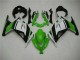 Carenado Moto Kawasaki EX300 2013-2016 - Verde Negro Plata Carenado Moto Kawasaki EX300 2013-2016 - Verde Negro Plata