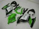 Carenado Moto Kawasaki EX300 2013-2016 - Verde Negro Plata Carenado Moto Kawasaki EX300 2013-2016 - Verde Negro Plata