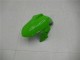 Carenado Moto Kawasaki EX300 2013-2016 - Verde Negro Plata Carenado Moto Kawasaki EX300 2013-2016 - Verde Negro Plata