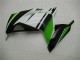 Carenado Moto Kawasaki EX300 2013-2016 - Verde Negro Plata Carenado Moto Kawasaki EX300 2013-2016 - Verde Negro Plata