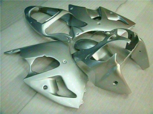 Carenado Moto Kawasaki ZX6R 2000-2002 - Plata Carenado Moto Kawasaki ZX6R 2000-2002 - Plata