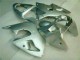 Carenado Moto Kawasaki ZX6R 2000-2002 - Plata Carenado Moto Kawasaki ZX6R 2000-2002 - Plata