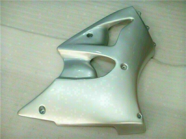 Carenado Moto Kawasaki ZX6R 2000-2002 - Plata Carenado Moto Kawasaki ZX6R 2000-2002 - Plata