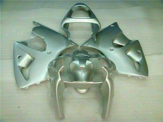 Carenado Moto Kawasaki ZX6R 2000-2002 - Plata Carenado Moto Kawasaki ZX6R 2000-2002 - Plata