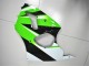 Carenado Moto Kawasaki ZX6R 2000-2002 - Verde Blanco Negro Carenado Moto Kawasaki ZX6R 2000-2002 - Verde Blanco Negro