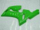 Carenado Moto Kawasaki ZX6R 2005-2006 - Verde Carenado Moto Kawasaki ZX6R 2005-2006 - Verde