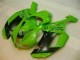 Carenado Moto Kawasaki ZX6R 2007-2008 - Verde Negro Dunlop Carenado Moto Kawasaki ZX6R 2007-2008 - Verde Negro Dunlop