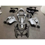Carenado & Plástico Moto Kawasaki ZX9R 2002-2003 - Plata Brillante Negro