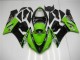 Carenados Moto Kawasaki ZX6R 2005-2006 - Verde Carenados Moto Kawasaki ZX6R 2005-2006 - Verde