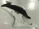 Carenados Moto Yamaha R6 2008-2016 - Blanco Carenados Moto Yamaha R6 2008-2016 - Blanco