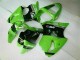 Inyección Kit Carenado Moto Kawasaki ZX6R 2000-2002 - Verde Negro Inyección Kit Carenado Moto Kawasaki ZX6R 2000-2002 - Verde Negro