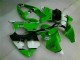 Inyección Kits Carenado Moto Kawasaki ZX6R 2000-2002 - Verde Negro Inyección Kits Carenado Moto Kawasaki ZX6R 2000-2002 - Verde Negro