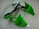 Inyección Kits Carenado Moto Kawasaki ZX6R 2000-2002 - Verde Negro Inyección Kits Carenado Moto Kawasaki ZX6R 2000-2002 - Verde Negro
