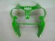 Kit ABS Carenado Motocicleta Kawasaki ZX6R 2000-2002 - Verde Negro Kit ABS Carenado Motocicleta Kawasaki ZX6R 2000-2002 - Verde Negro