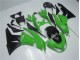Kit Carenado ABS Completo Kawasaki ZX6R 2009-2012 - Verde Negro Kit Carenado ABS Completo Kawasaki ZX6R 2009-2012 - Verde Negro