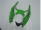 Kit Carenado ABS Completo Kawasaki ZX6R 2009-2012 - Verde Negro Kit Carenado ABS Completo Kawasaki ZX6R 2009-2012 - Verde Negro