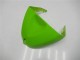 Kit Carenado Inyección Kawasaki ZX6R 2005-2006 - Verde Negro Kit Carenado Inyección Kawasaki ZX6R 2005-2006 - Verde Negro