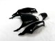 Kit Completo Carenado Moto Kawasaki ZX14R ZZR 1400 2012-2021 - Negro Verde Kit Completo Carenado Moto Kawasaki ZX14R ZZR 1400 2012-2021 - Negro Verde