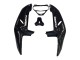 Mejores Carenados Moto Honda CBR900RR 919 1998-1999 - Negro Brillante Blanco Calcomanías