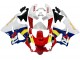 Mejores Carenados Moto Honda CBR900RR 919 1998-1999 - Blanco Rojo Amarillo Azul