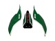Mejores Carenados Moto Ducati 959/1299 2015-2020 - Blanco Rojo Verde Valsir Fiamm 7