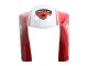 Mejores Carenados Moto Ducati 748/916/996/998 1993-2005 - Blanco Rojo Amarillo Verde Negro Brillante Performance