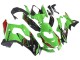 Mejores Carenados Moto Kawasaki ZX10R 2021-2025 - Verde Negro Rojo