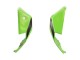 Mejores Carenados Moto Kawasaki ZX10R 2021-2025 - Verde Negro Rojo