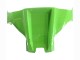 Mejores Carenados Moto Kawasaki ZX10R 2021-2025 - Verde Negro Rojo