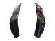 Mejores Carenados Moto Kawasaki ZX10R 2021-2025 - Verde Negro Rojo