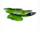 Mejores Carenados Moto Kawasaki ZX6R 1998-1999 - Verde Blanco Azul Plata Negro Brillante