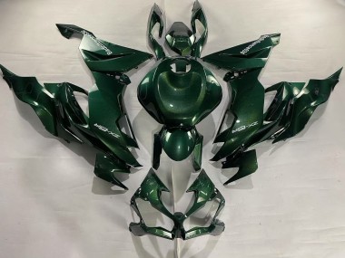 Mejores Carenados Moto Kawasaki ZX6R 2019-2022 - Verde Oscuro