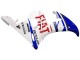 Mejores Carenados Moto Yamaha YZF 600 R6 2005 - Blanco Azul Dunlop Fiat Motul