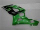Plástica Moto Suzuki GSXR 1000 K5 2005-2006 - Verde Plástica Moto Suzuki GSXR 1000 K5 2005-2006 - Verde